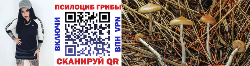 мега вход Славск Галлюциногенные грибы GOLDEN TEACHER купить наркотик